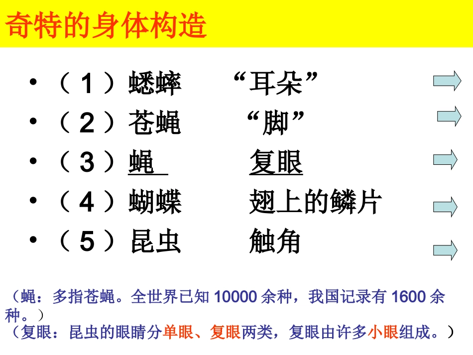 放大镜下的昆虫世界_第3页