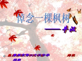 悼念一棵枫树