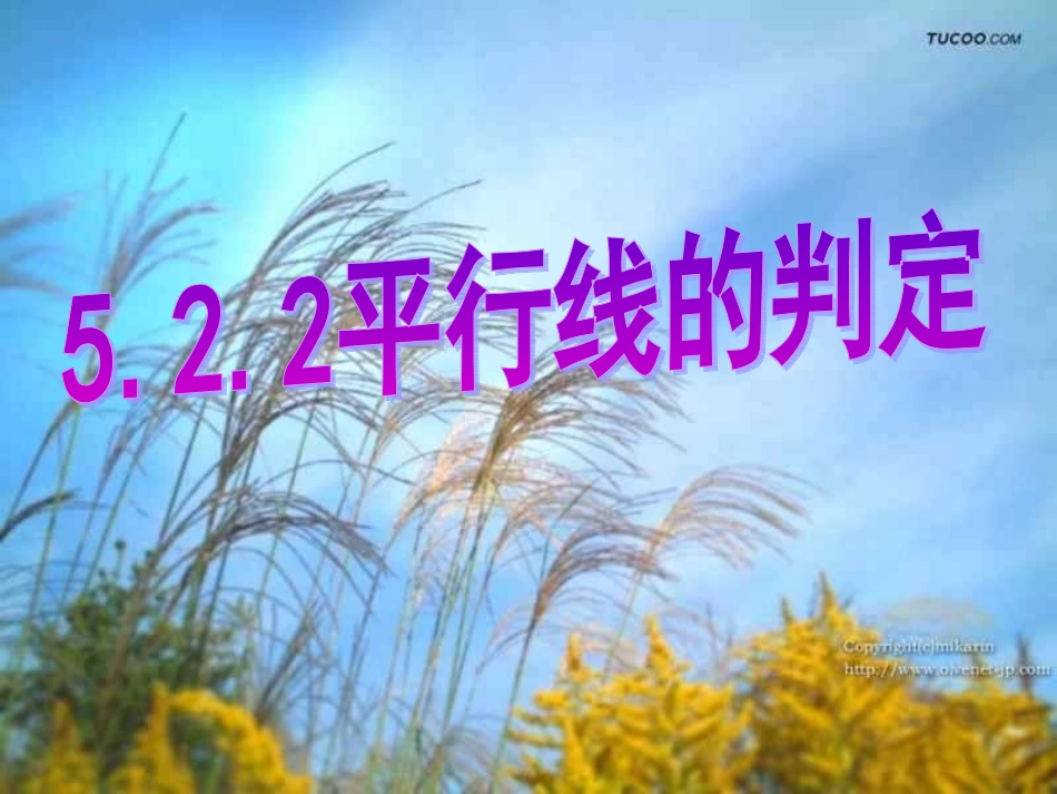平行线的判定人教新课标七年级上_第1页