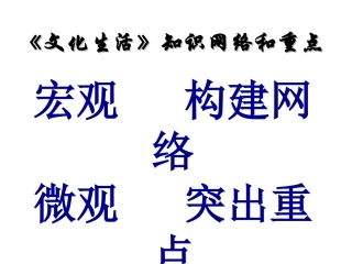 文化生活复习课件