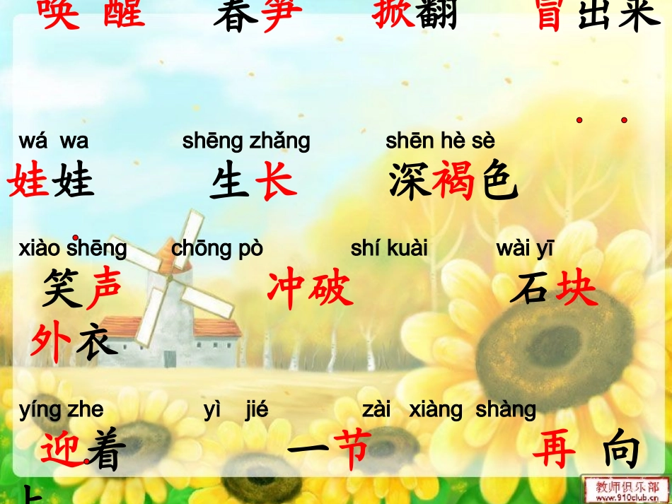 苏教版一年下春笋_第3页