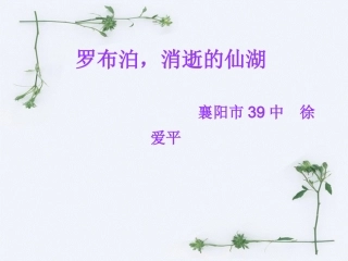 《罗布泊，消逝的仙湖》课件--基础篇