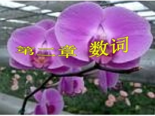 初中英语语法-数词PPT课件