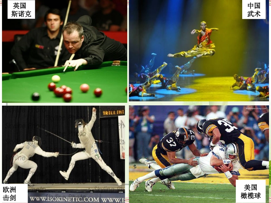 31世界文化的多样性_第3页