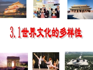 31世界文化的多样性