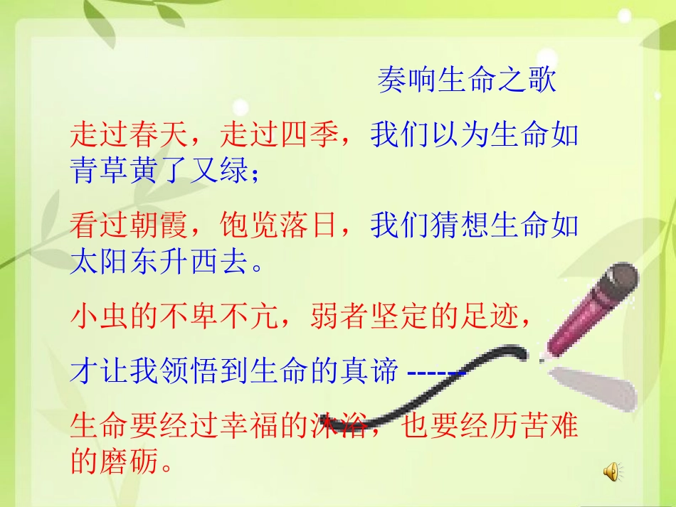 《生命生命》辉辉_第2页