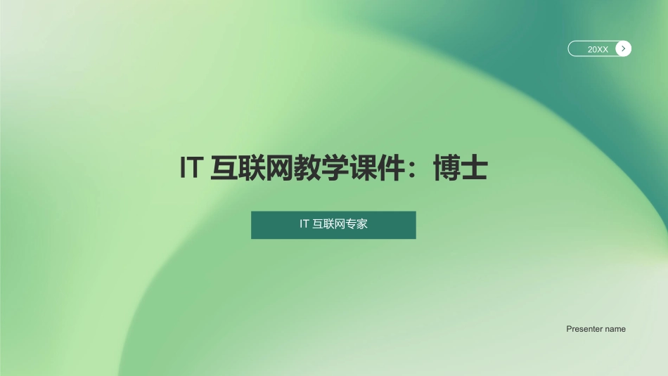 IT互联网教学课件：博士-IT互联网专家_第1页