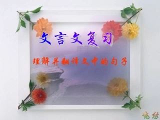理解并翻译文中的句子