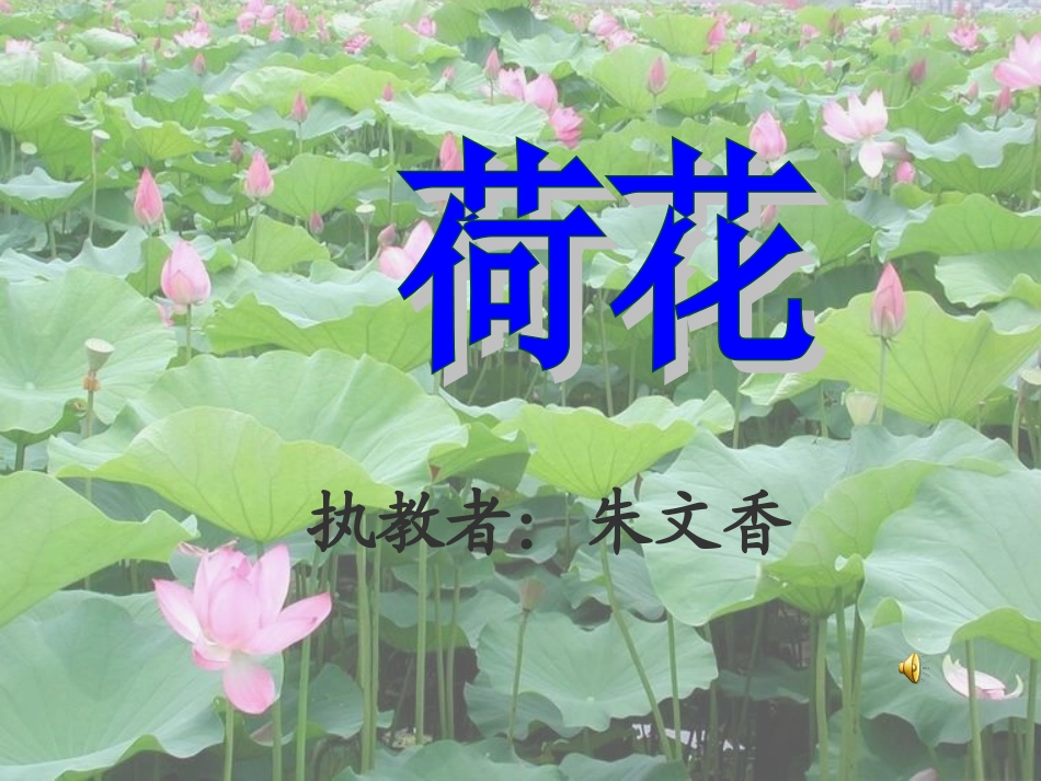 汕头市桂花小学朱文香《荷花》课件_第1页
