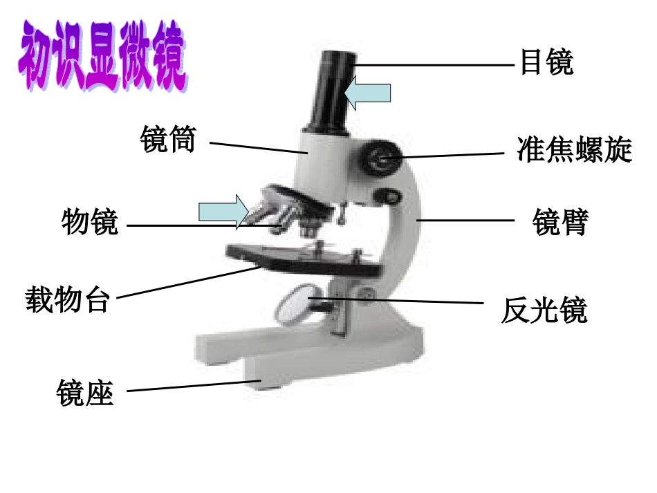 显微镜的认识_第2页