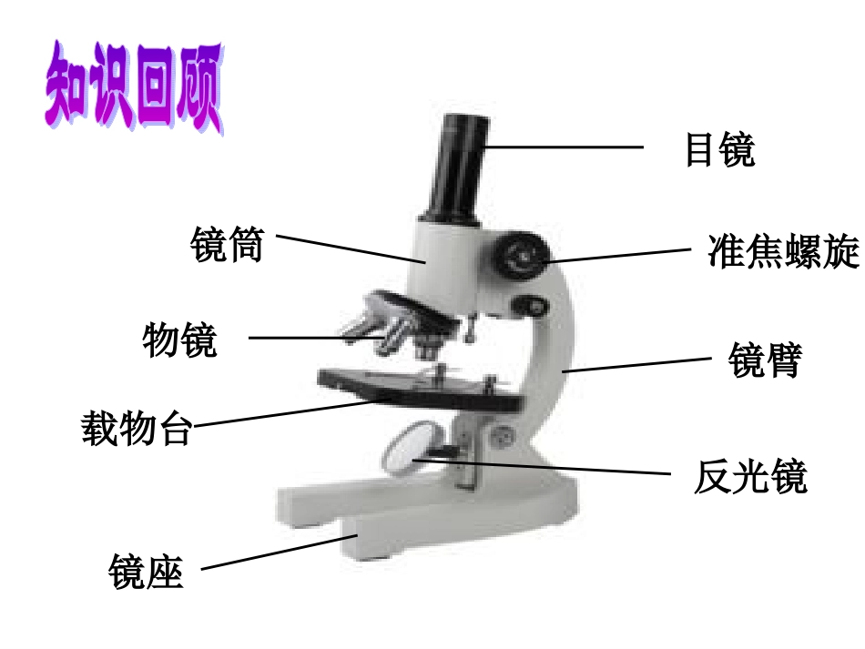 显微镜的认识_第3页