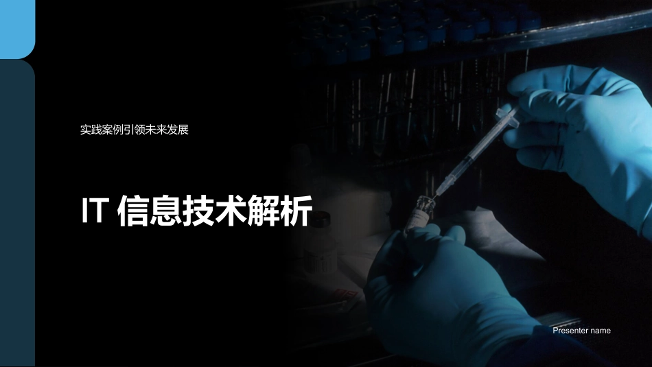 IT信息技术解析-实践案例引领未来发展_第1页