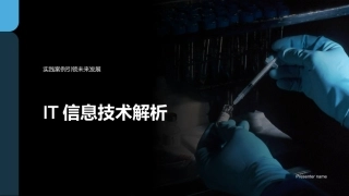IT信息技术解析-实践案例引领未来发展
