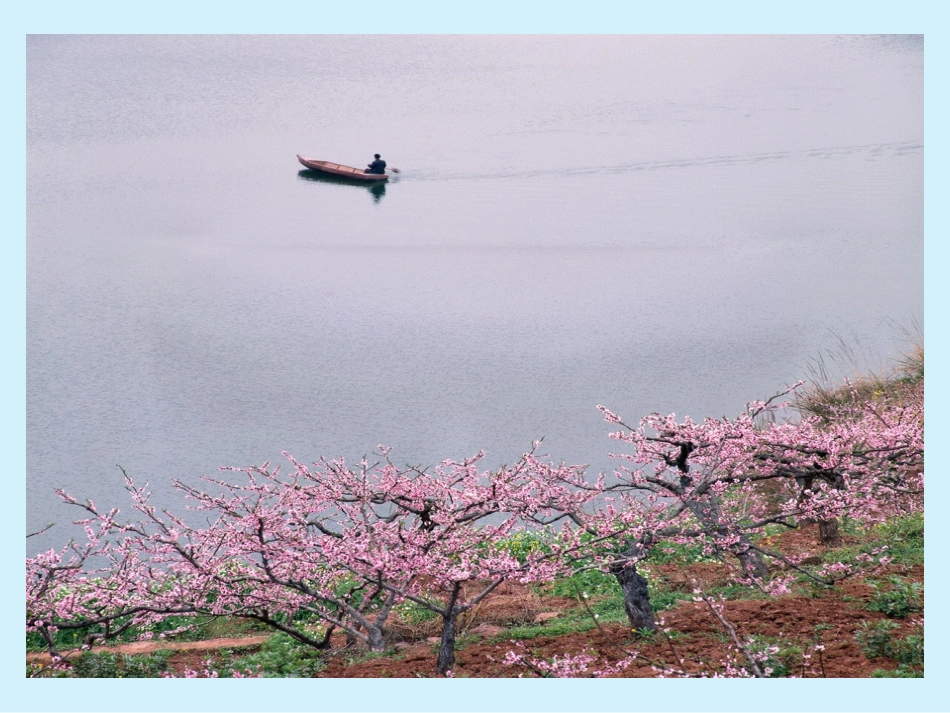 中国的气候(吕宝梅)_第3页