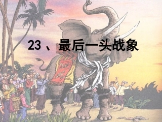 《最后一头战象》