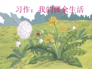 习作----我的课余生活