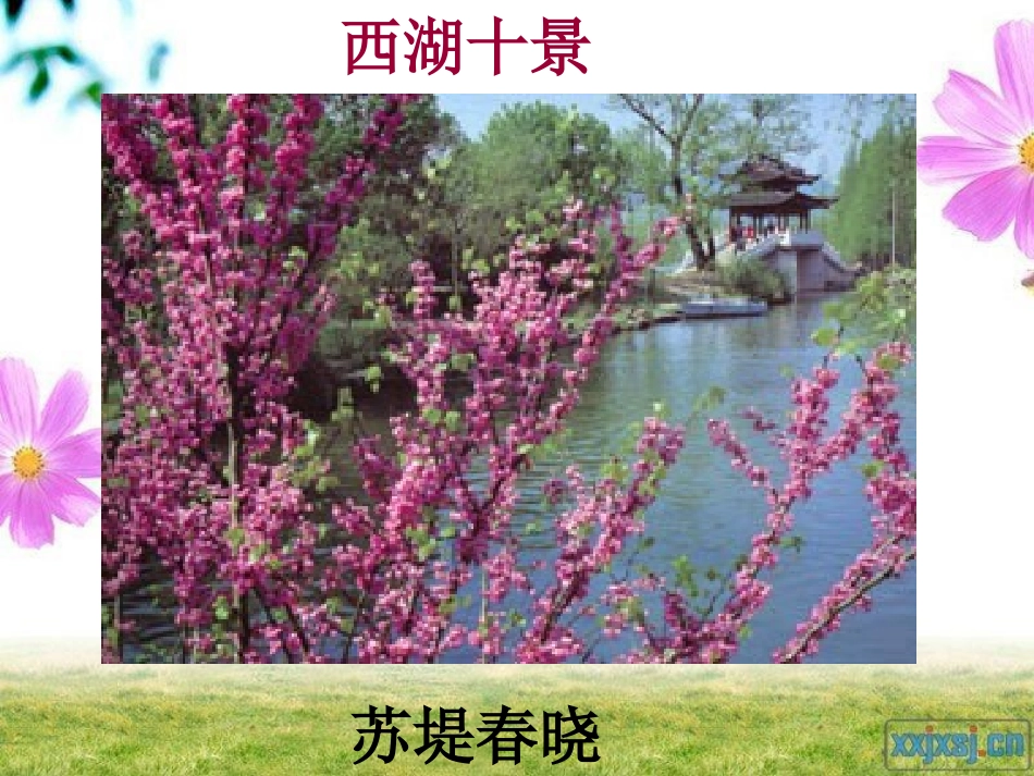 西湖明堤改课件_第2页