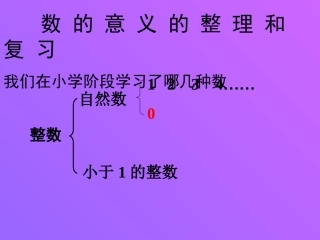 数的意义的整理和复习