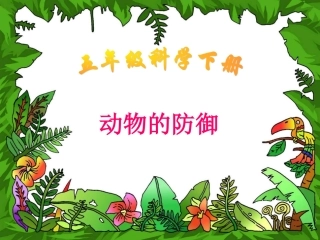 鄂教版小学科学五年级下册《动物的防御》课件