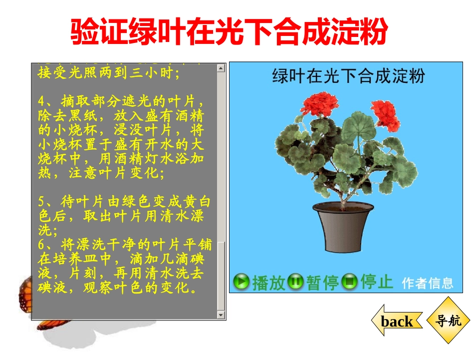 绿叶在光下合成淀粉_第2页