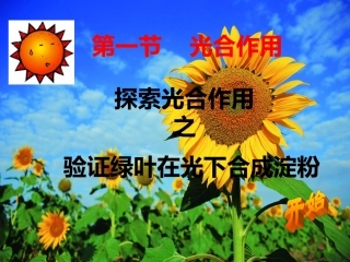 绿叶在光下合成淀粉