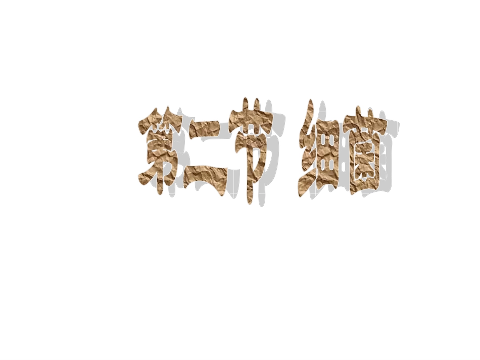 初中二年级生物上册第五单元第四章细菌和真菌第二节细菌第一课时课件_第3页