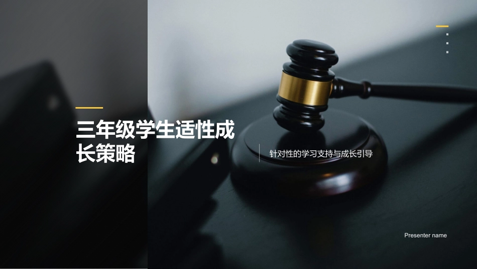 三年级学生适性成长策略-针对性的学习支持与成长引导_第1页