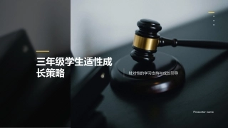 三年级学生适性成长策略-针对性的学习支持与成长引导