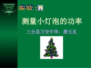 八年级物理测量小灯泡的电功率PPT课件