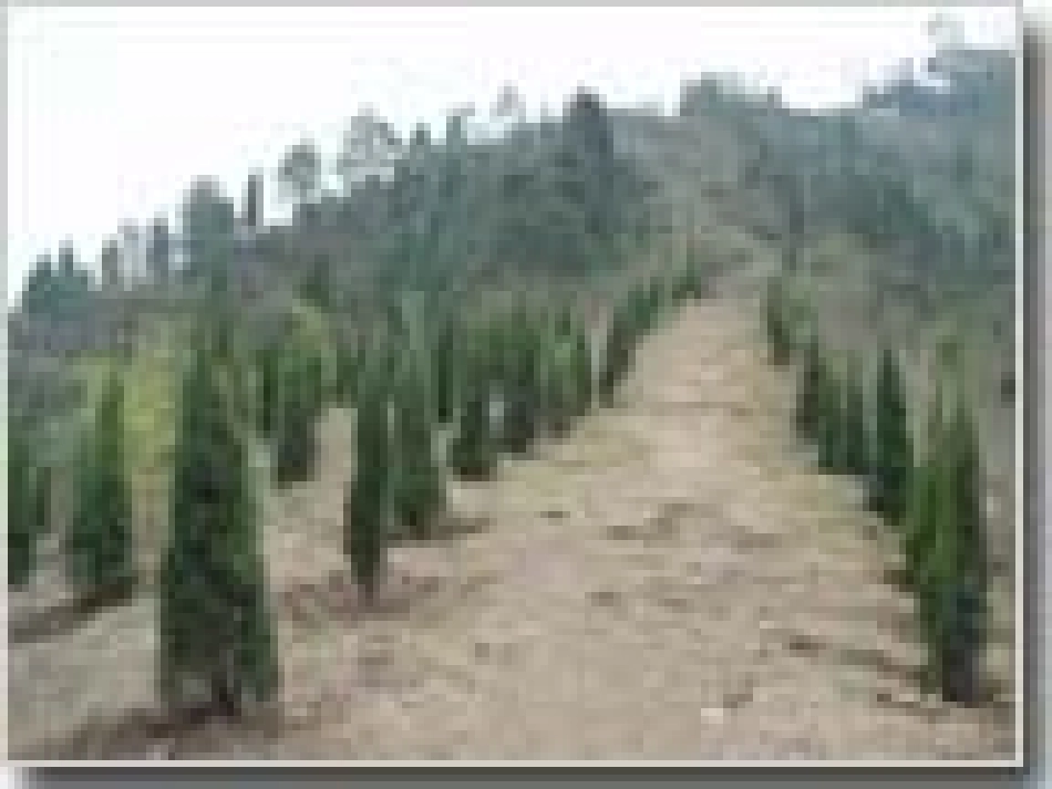 北师大版八年级下341分式方程［一］_第2页