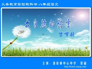 大自然的语言蔡丽