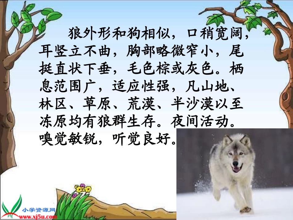 《狼和小羊》课件2_第2页