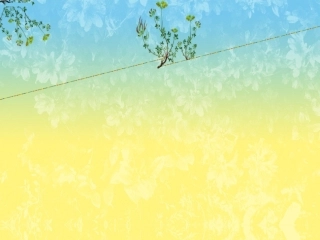 浦江的诉说课件