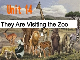 小学英语广州版五年级上册第五模块第十四单元教学课件