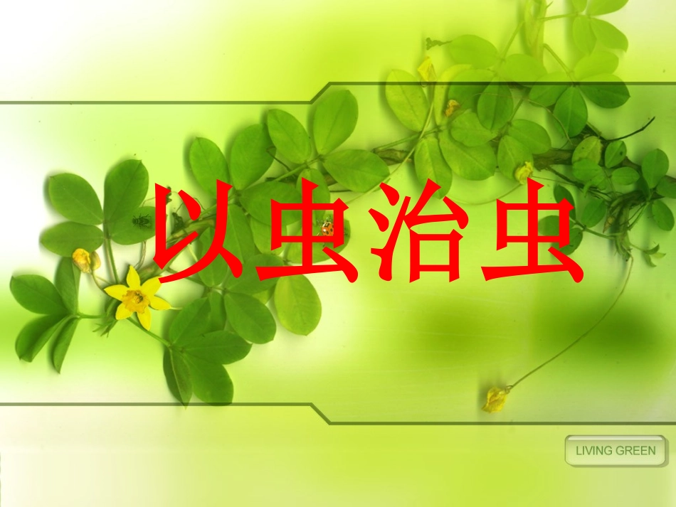 《以虫治虫》课件2_第2页