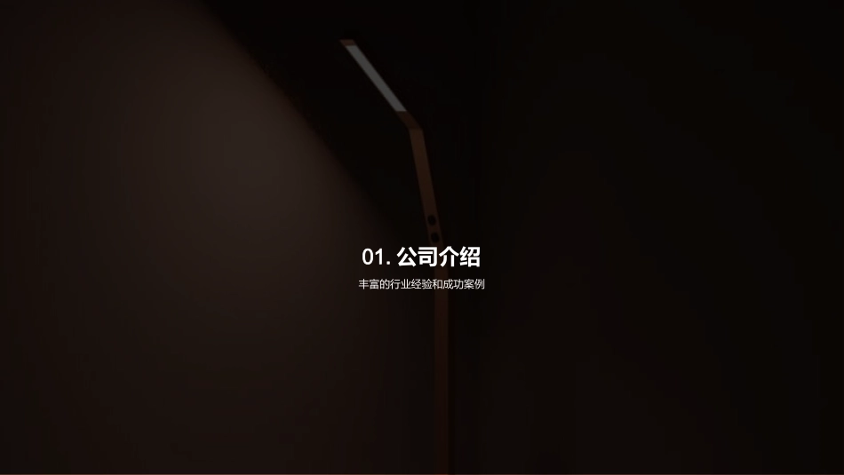 专业设计服务：新客户招商会-为您提供专业的设计服务_第3页