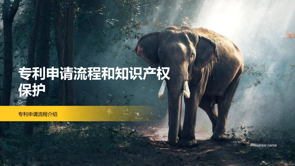 专利申请流程和知识产权保护-专利申请流程介绍_第1页