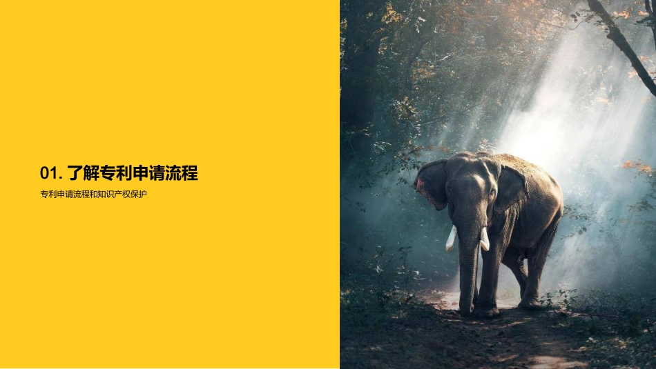专利申请流程和知识产权保护-专利申请流程介绍_第3页