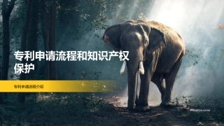 专利申请流程和知识产权保护-专利申请流程介绍