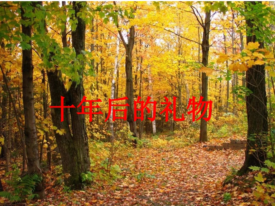 《十年后的礼物》课件郭秀琴_第2页