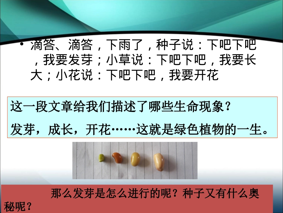 《种子的萌发》参考课件_第1页