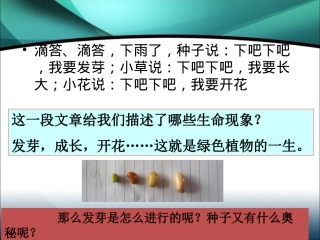 《种子的萌发》参考课件