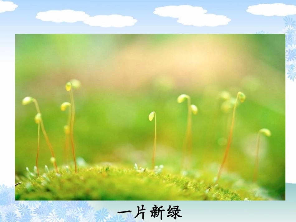 春天的手课件2_第3页