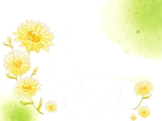 清新小黄花模板