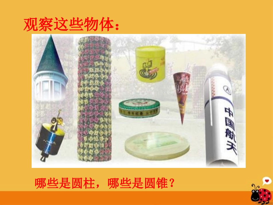 六年级数学下册_圆柱和圆锥的认识1课件_苏教版_第2页