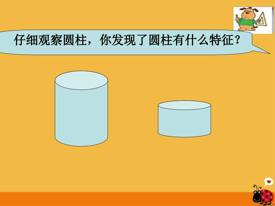 六年级数学下册_圆柱和圆锥的认识1课件_苏教版_第3页