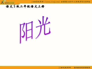 魏红梅课件4《阳光》