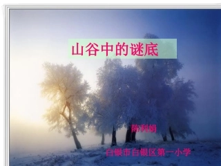《山谷中的谜底》课件