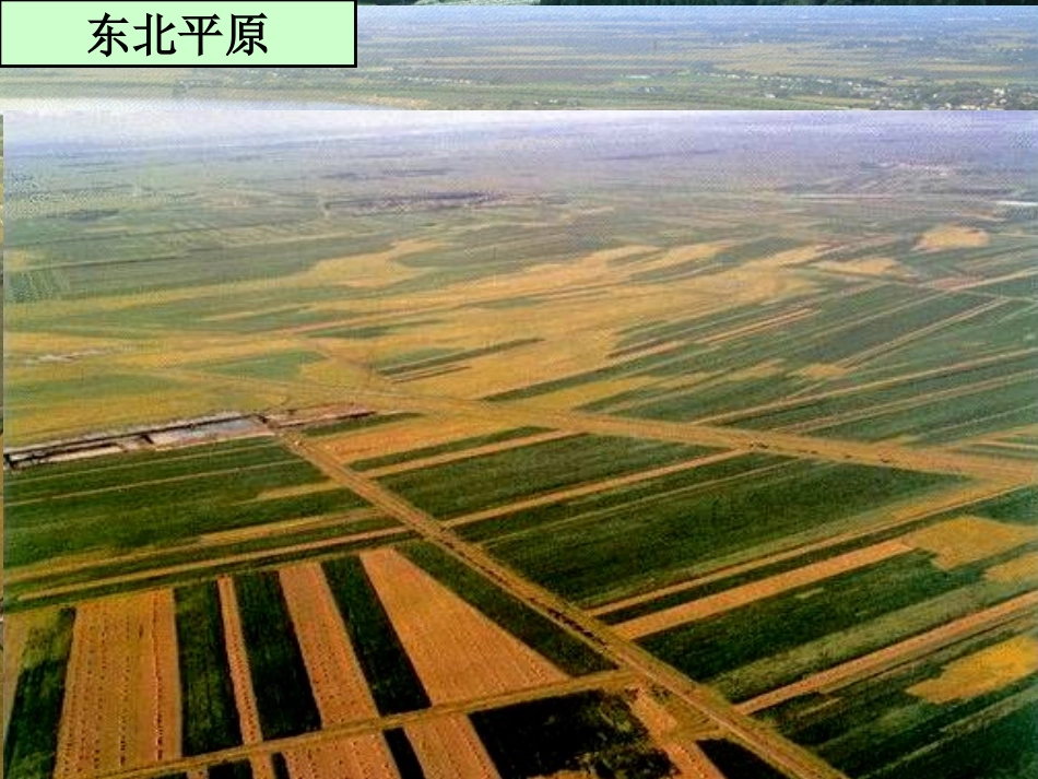 营造地表形态的力量张新_第2页