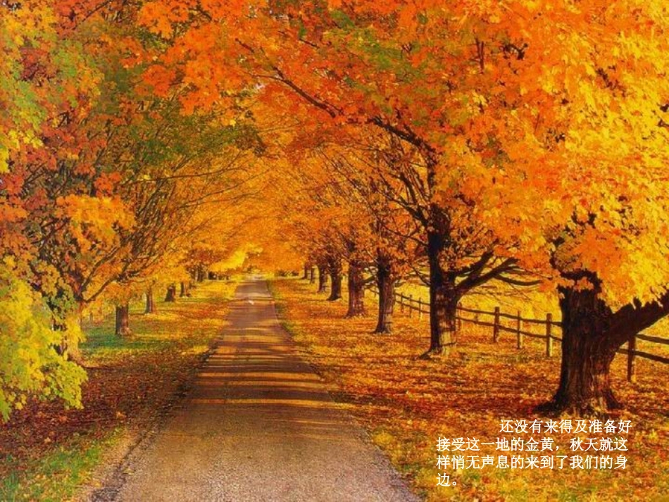 北京香山红叶_第1页